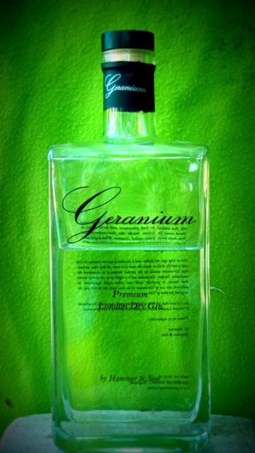 Geranium 1