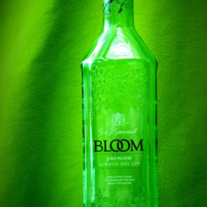 Bloom